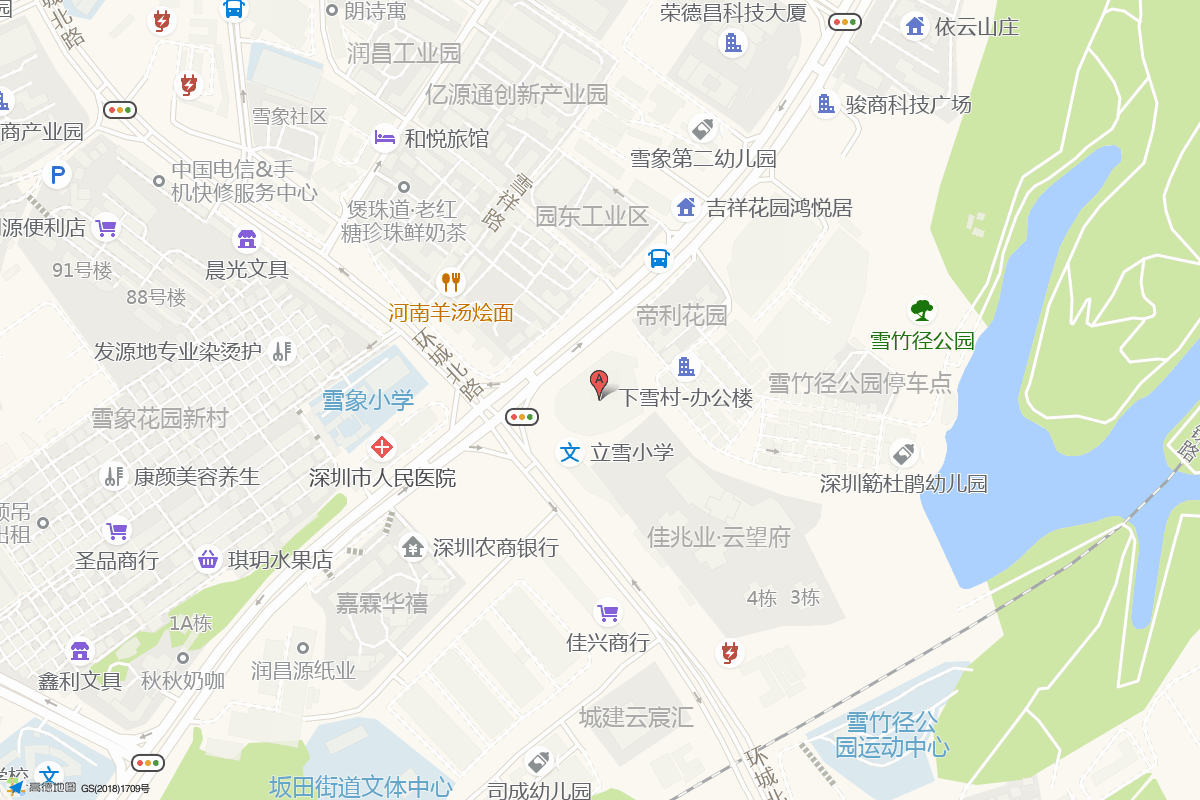 深圳龙岗区科外集团立雪小学在高德地图中的位置